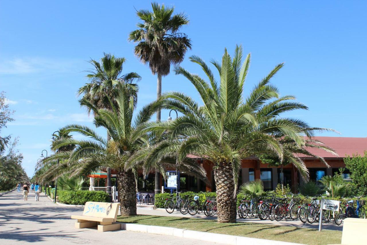 Sulmare Alba Adriatica B&B 외부 사진